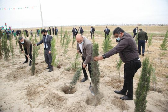 Xəzər rayonunda Ümummilli Lider Heydər Əliyevin anadan olmasının 98-ci ildönümü ilə əlaqədar ağacəkmə aksiyası keçirilib