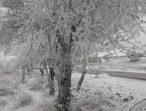 Gədəbəyə qar yağıb - Faktiki hava