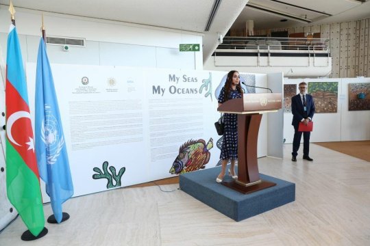 Leyla Əliyeva Cenevrədə “Mənim dənizlərim, mənim okeanlarım” sərgisinin açılışında iştirak edib - FOTO